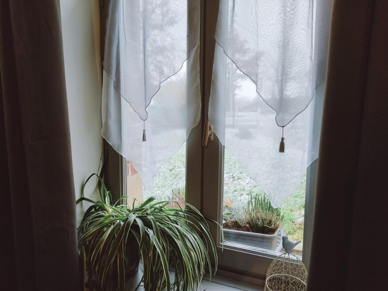 Chez Christy Chemin Des Dinots Bed & Breakfast Saint-Bonnet-de-Four ห้อง รูปภาพ